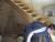 pose d'un escalier